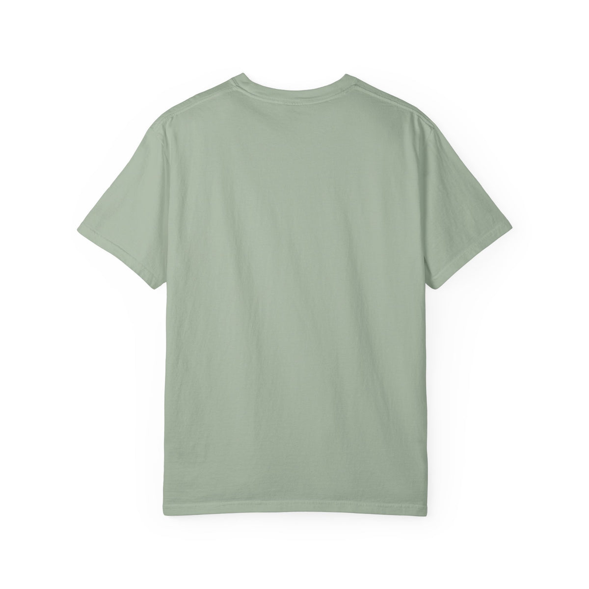 Data Manager T-Shirt — "Clean Data Club" Cute Tech Graphic Tee