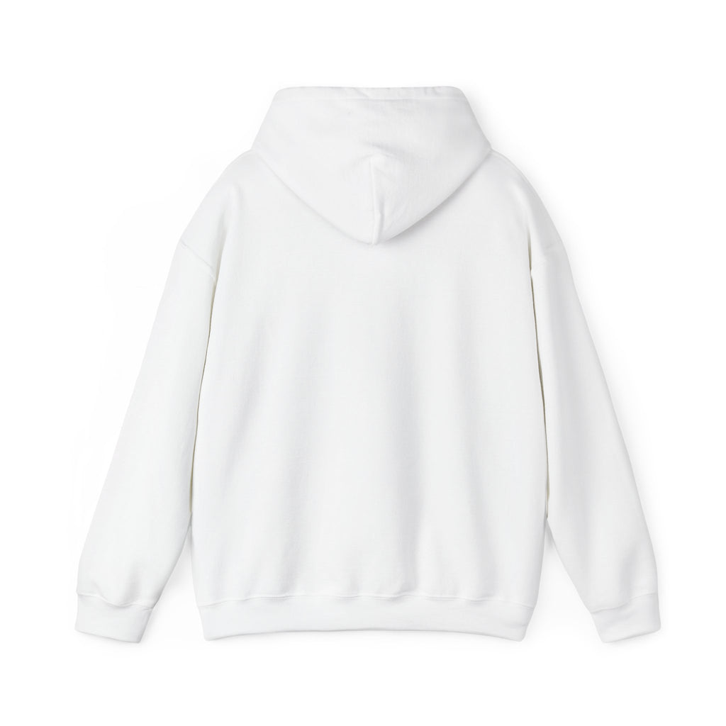 Hoodie — “Double-Blind Still Observing” Minimalist Researcher Pullover